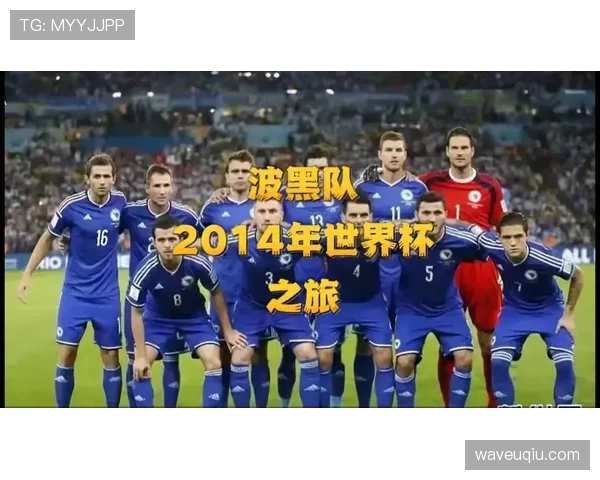 波黑2026世界杯预选赛阵容预测 哲科领衔能否带队突围 波黑2026世界杯预选赛阵容预测 哲科领衔能否带队突围